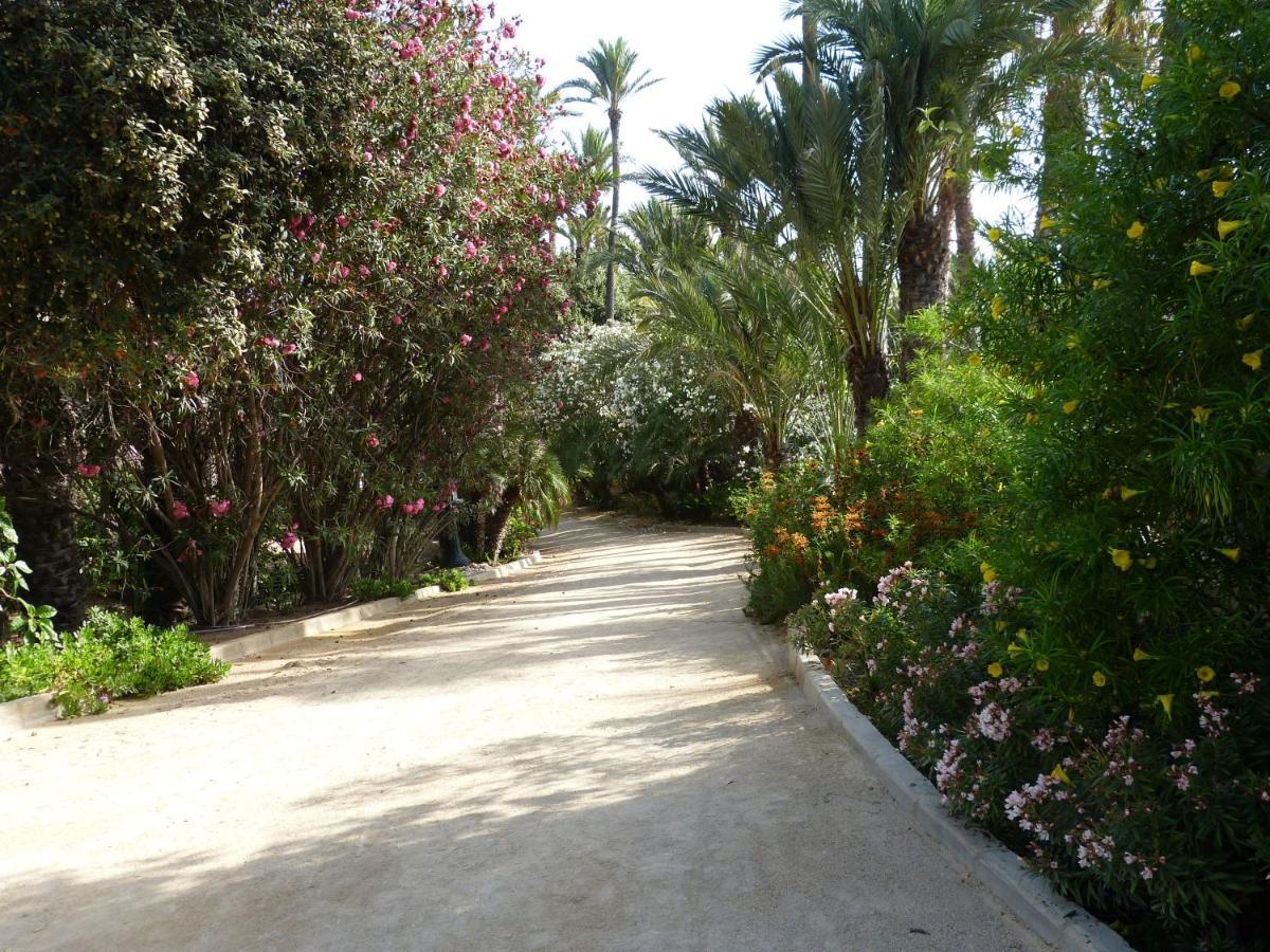 Very best flat just 800m Postiguet-Beach und Parking Alicante Exterior foto