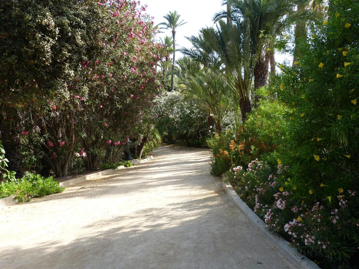 Ferienwohnung Very best flat just 800m Postiguet-Beach und Parking Alicante Exterior foto